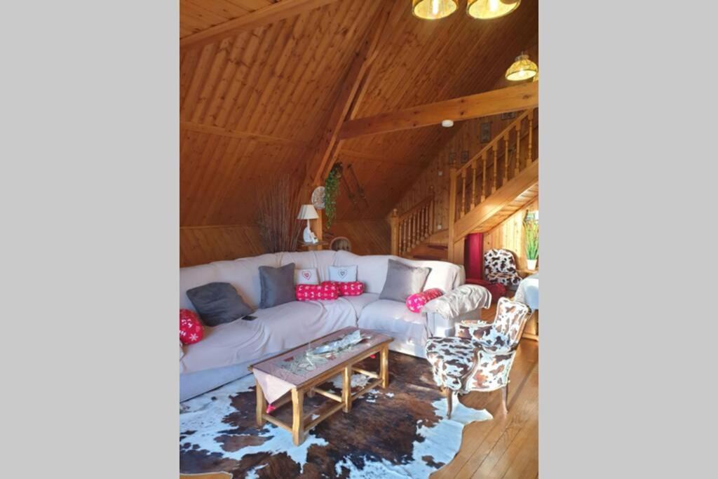 Authentique Chalet Vue Sur Le Lac Et Les Pistes Besse-et-Saint-Anastaise Exterior foto